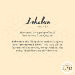 Lukotan Stingless Bee Honey from Bicol